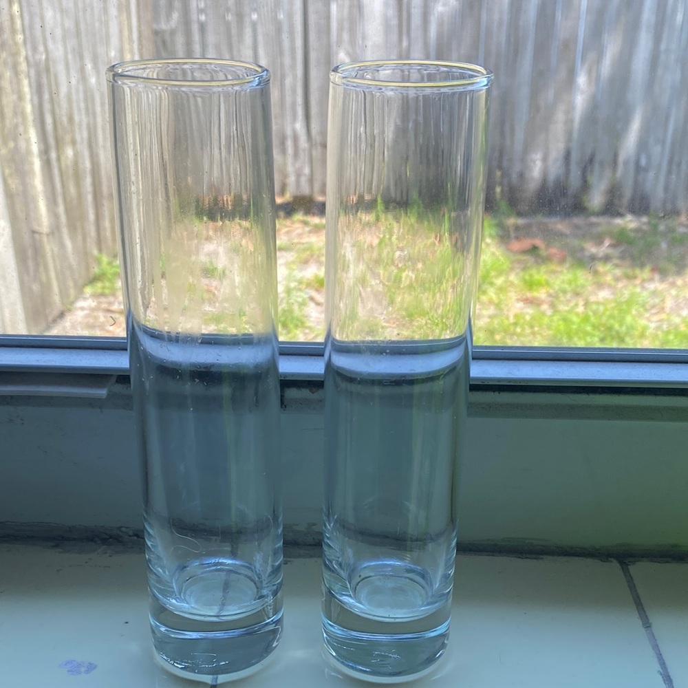 Craft Clear Glass Bud Vase Pair